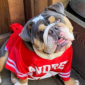 Andrea added a photo of their purchase