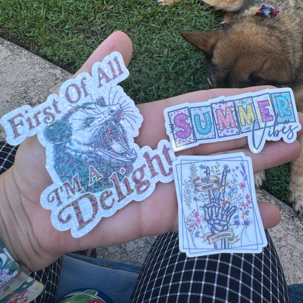 First of All I’m a Delight Possum Silly Holographic Sticker Mental ...