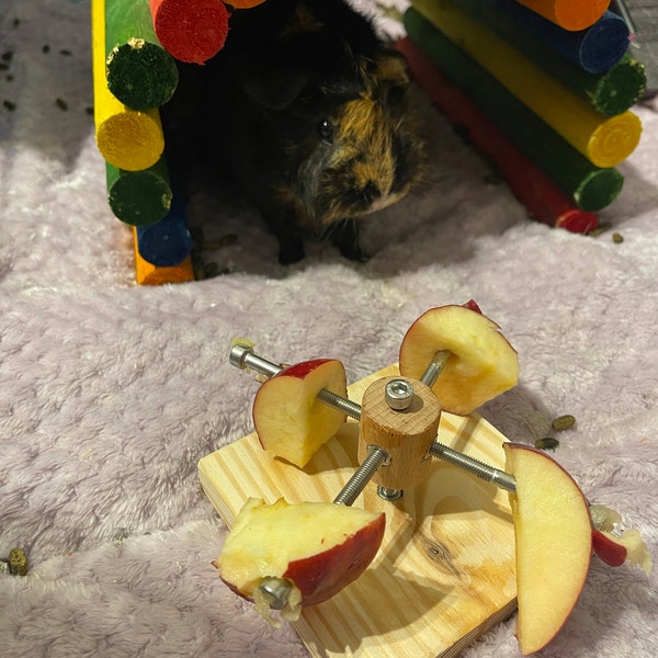 Guinea Pig Twister Feeder Toy, Guinea Pig Wheel, Guinea Pig Food Holder ...