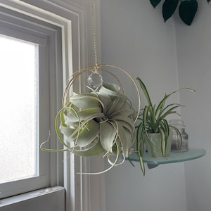 Carolyn added a photo of their purchase