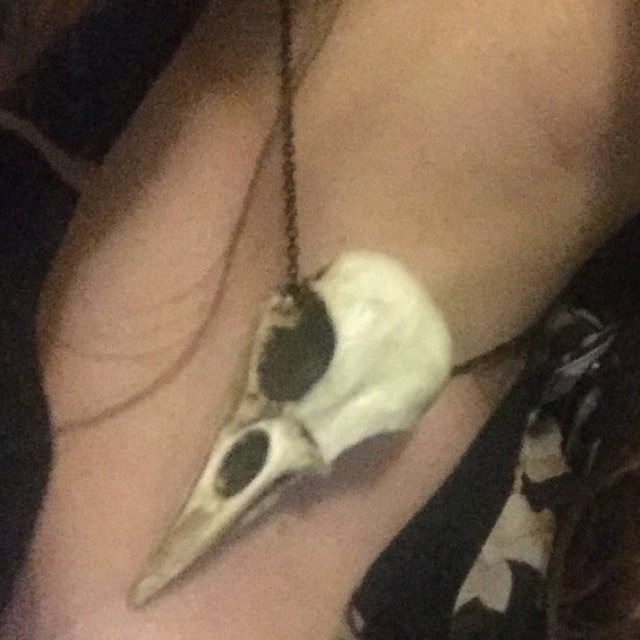 Creepy Crow Jewelry Bird Skull Pendant Necklace Cast Resin Replica