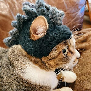 Wendy added a photo of their purchase