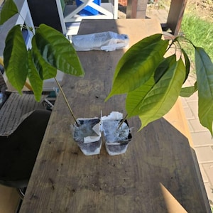 Jennifer added a photo of their purchase