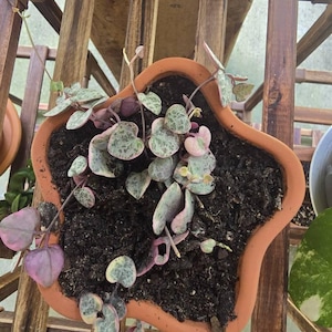 Beth added a photo of their purchase