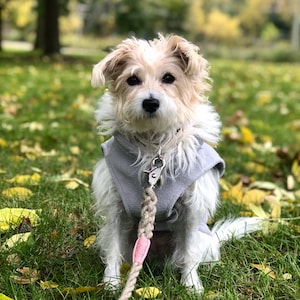 J added a photo of their purchase