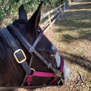 cindi added a photo of their purchase