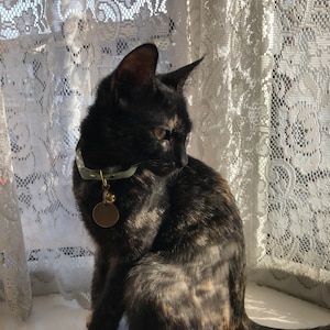 Rachel a ajouté une photo de son achat