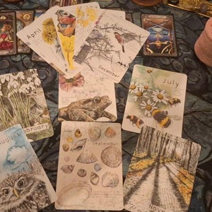 Daniella ha añadido una foto de su compra