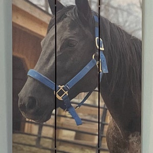 Terri added a photo of their purchase