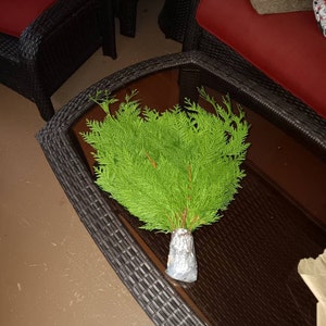 Steve added a photo of their purchase