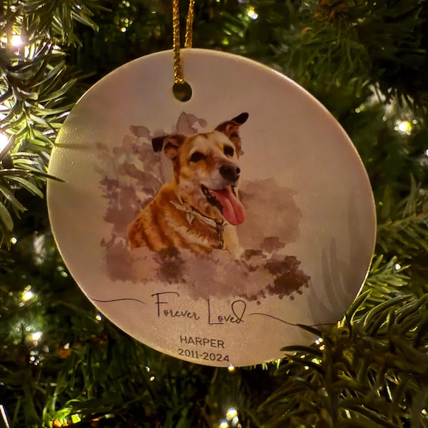 Personalized Pet Memorial Watercolor Ornament Using Pet's Photo + Name ...