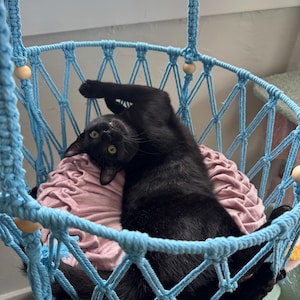 Debra added a photo of their purchase