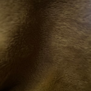 Widmer hat ein Foto des gekauften Artikels hinzugefügt