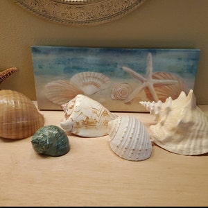 Richard added a photo of their purchase