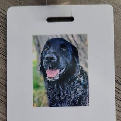 Emoji Theme Classroom Hall Passes for Teachers, Personalized, Hall Pass ...