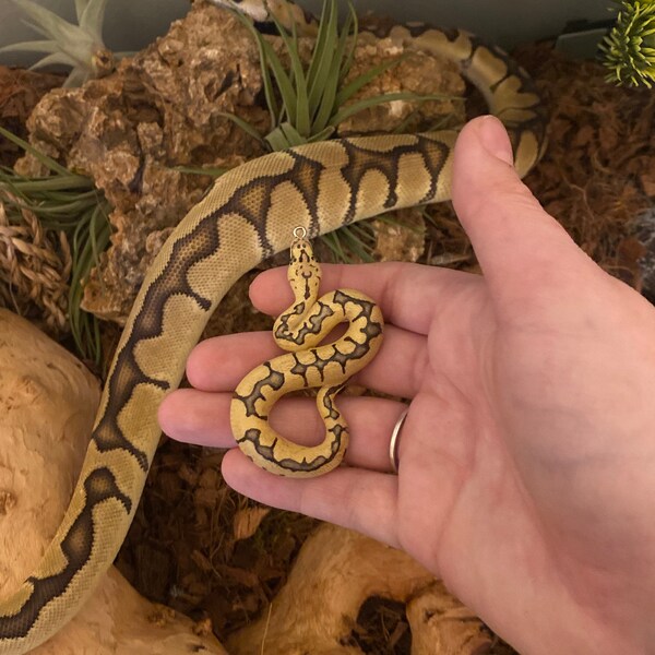 Customizable Ball Python Miniature / Figure / Sculpture / Necklace ...