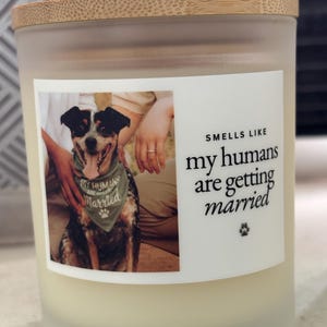 Kate added a photo of their purchase