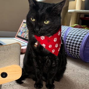 Sandy added a photo of their purchase
