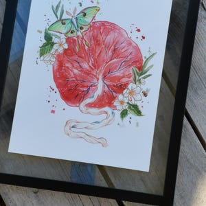 C a ajouté une photo de son achat