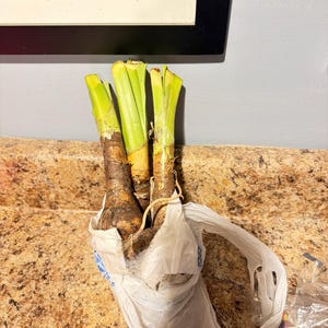 sharon added a photo of their purchase