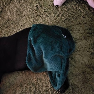 Kim added a photo of their purchase