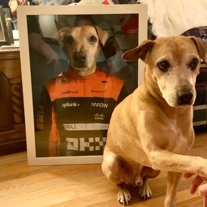 Red Ball, Formula Racing Car, F1 Driver Team Pet Portrait, Custom Dog ...