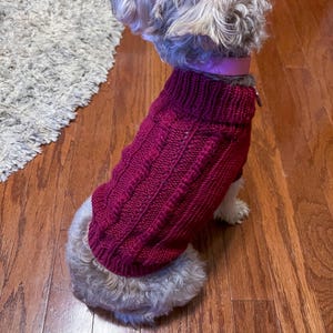 Kita added a photo of their purchase