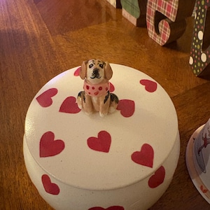 Maci added a photo of their purchase