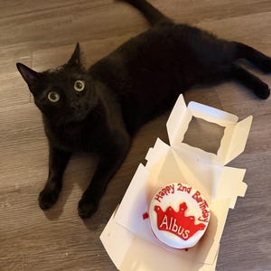 haley added a photo of their purchase