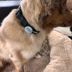 Payton added a photo of their purchase