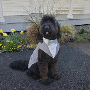 Canorg added a photo of their purchase