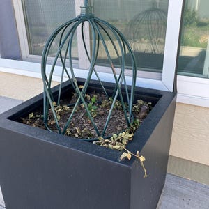 Judy added a photo of their purchase
