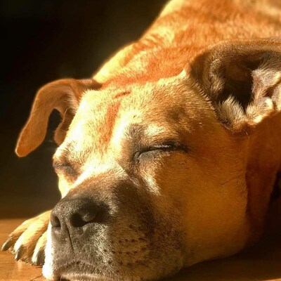 Psychic Intuitive Guidance Reading Etsy