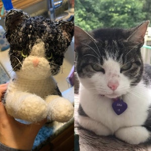 Cat added a photo of their purchase