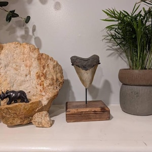 Shannon added a photo of their purchase