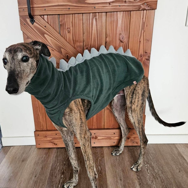 Long Raglan Sleeve Top With Dog In Jail Print