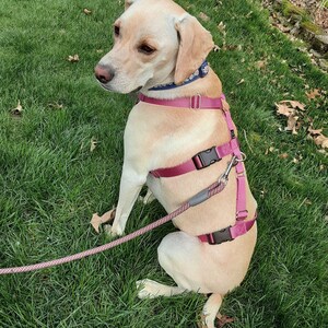 Zee York added a photo of their purchase