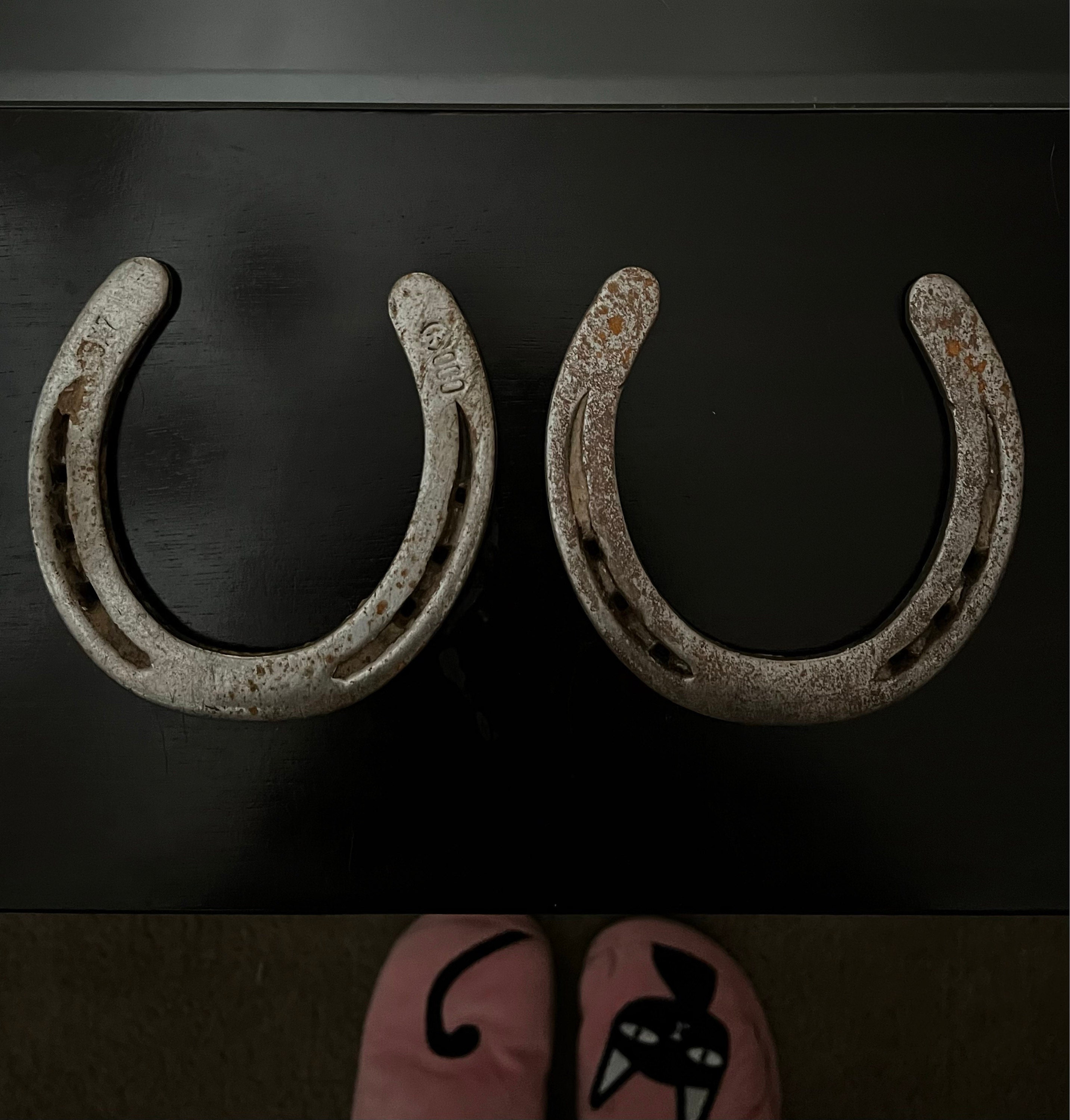 Authentic Used Horse Shoes-Flat Shoes-Assorted sizes-Rusted Shoes-Shiny Shoes-Cowboy Art-Farrier Horseshoes-Western Decor