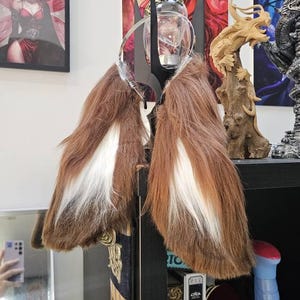 Raphaël added a photo of their purchase