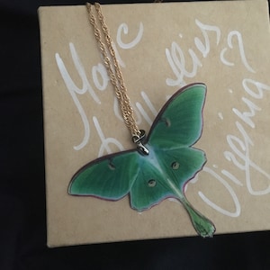 virginia added a photo of their purchase