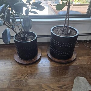 Renee added a photo of their purchase