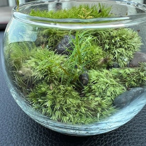 Lori ha añadido una foto de su compra