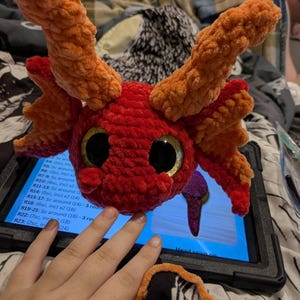Amber added a photo of their purchase