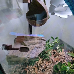 Angela added a photo of their purchase