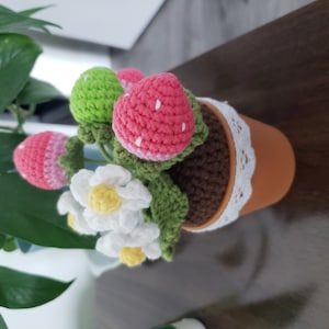 Flaminia added a photo of their purchase