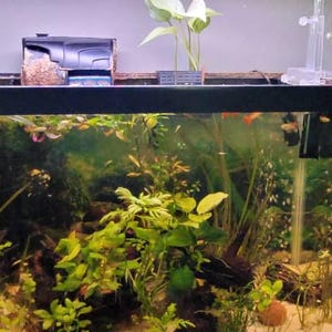Lynn heeft een foto van de aankoop toegevoegd