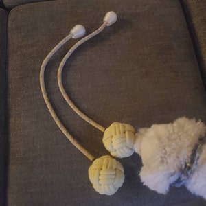 Danielle added a photo of their purchase