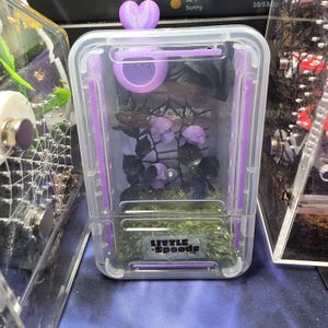 Amber added a photo of their purchase