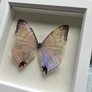 Savannah added a photo of their purchase