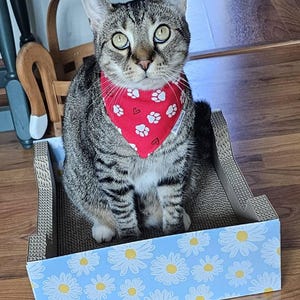 Sandy added a photo of their purchase